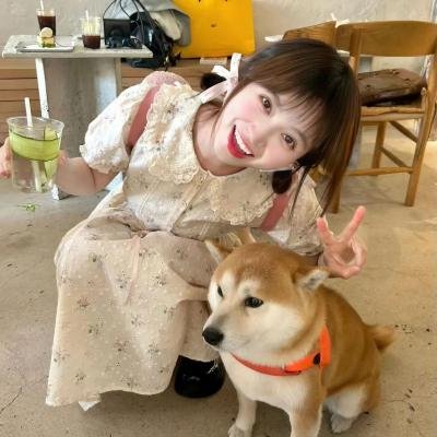 只有我不在的街道